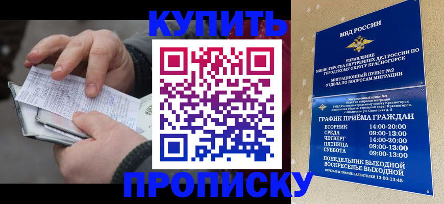 временная регистрация недорого в Михайловске